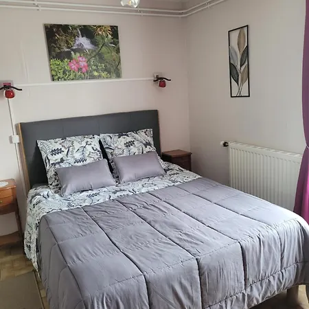Coeur De La Bretagne Appartement Poullaouen Buitenkant foto