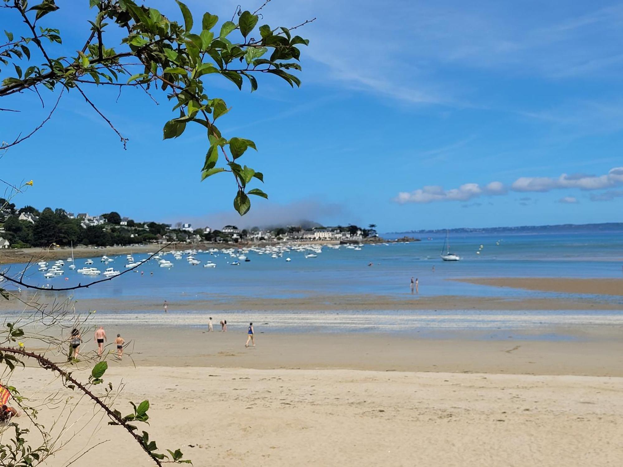 Appartement Coeur De La Bretagne